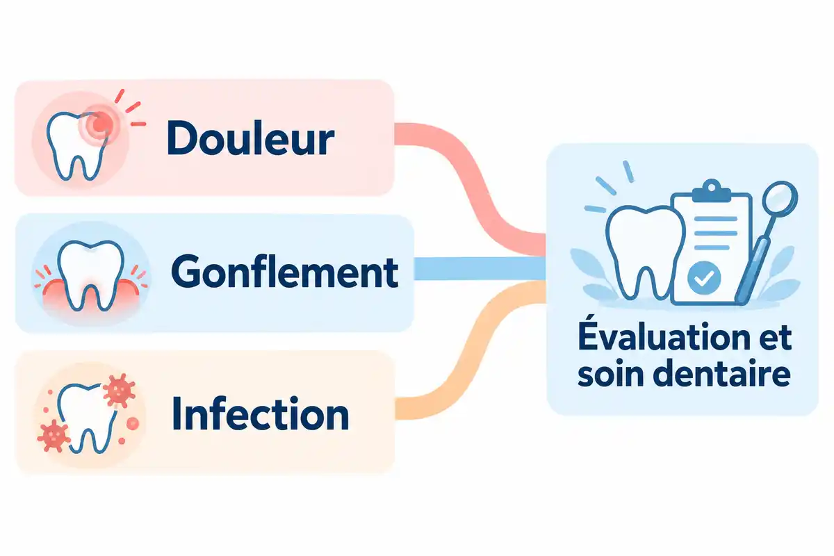 Douleur, gonflement et infection peuvent évoluer à des rythmes différents ; l’évaluation et les soins dentaires répondent à ces trois enjeux.